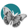 Butterfly symbolizing transformation and brand identity in nonprofit marketing.