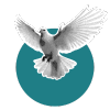 Pigeon representing adaptability in branding.