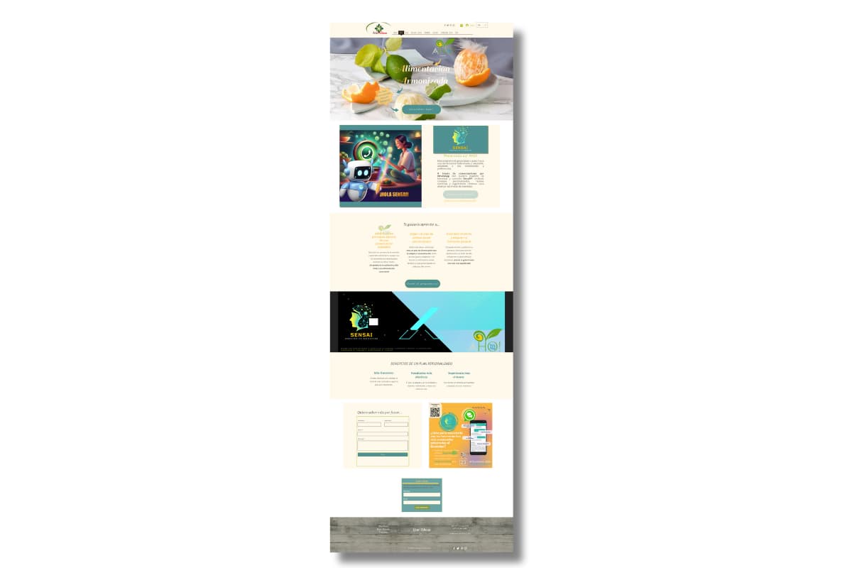 Screenshot of the old website of AHO!