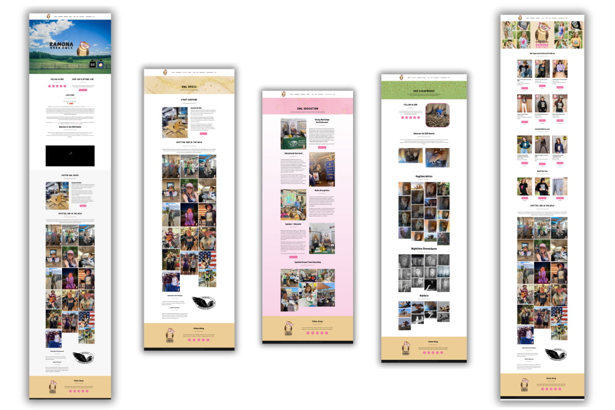 Old RBO website